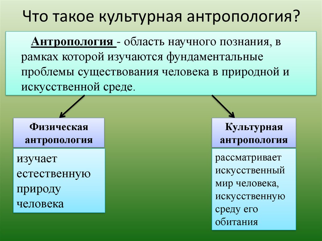 Культурная антропология