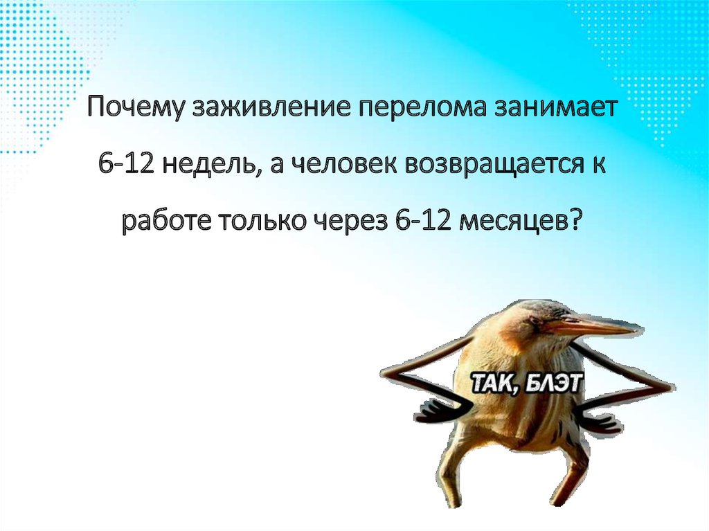Почему заживление перелома занимает 6-12 недель, а человек возвращается к работе только через 6-12 месяцев?