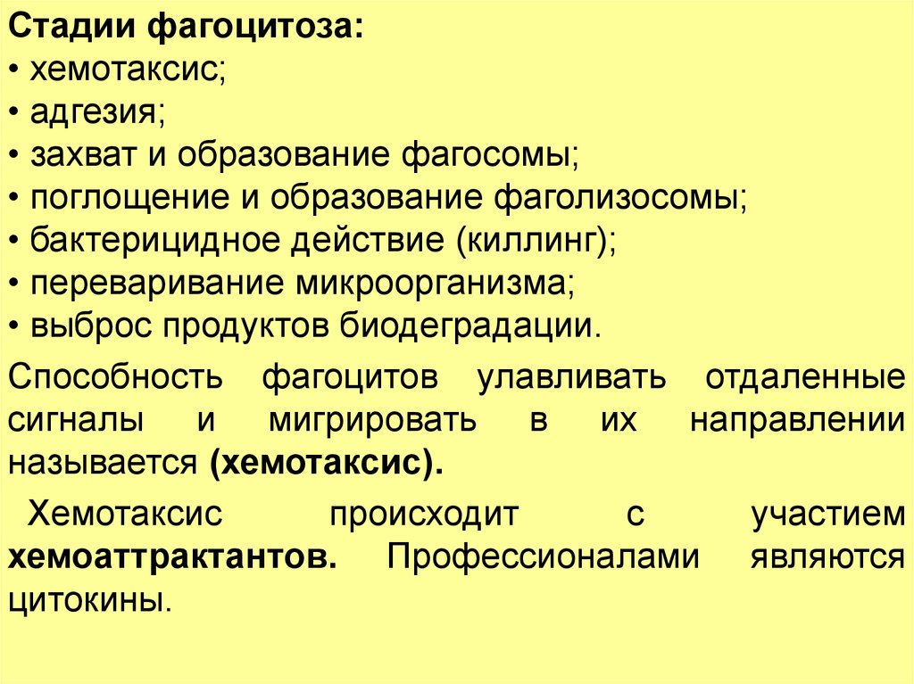 Врожденный иммунитет цитокины. Клеточные факторы врожденного иммунитета. Врожденные факторы. Факторы врожденного иммунитета на внеклеточные бактерии. Классификация факторов врожденного иммунитета неиндуцибельные.