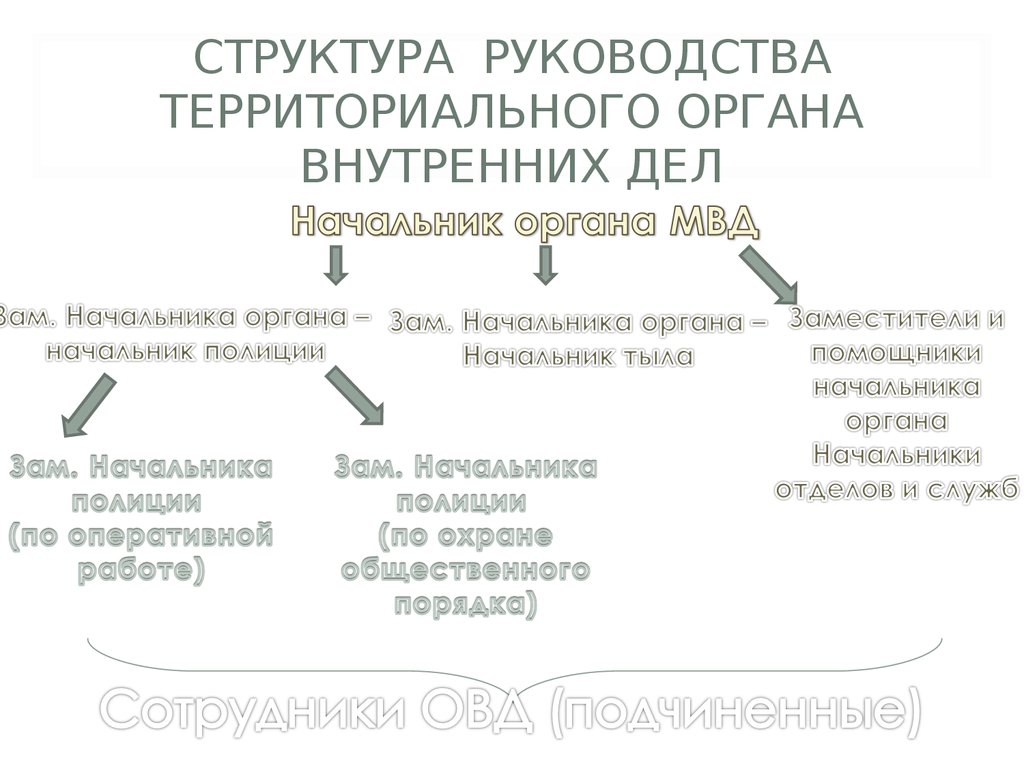 Структура руководства