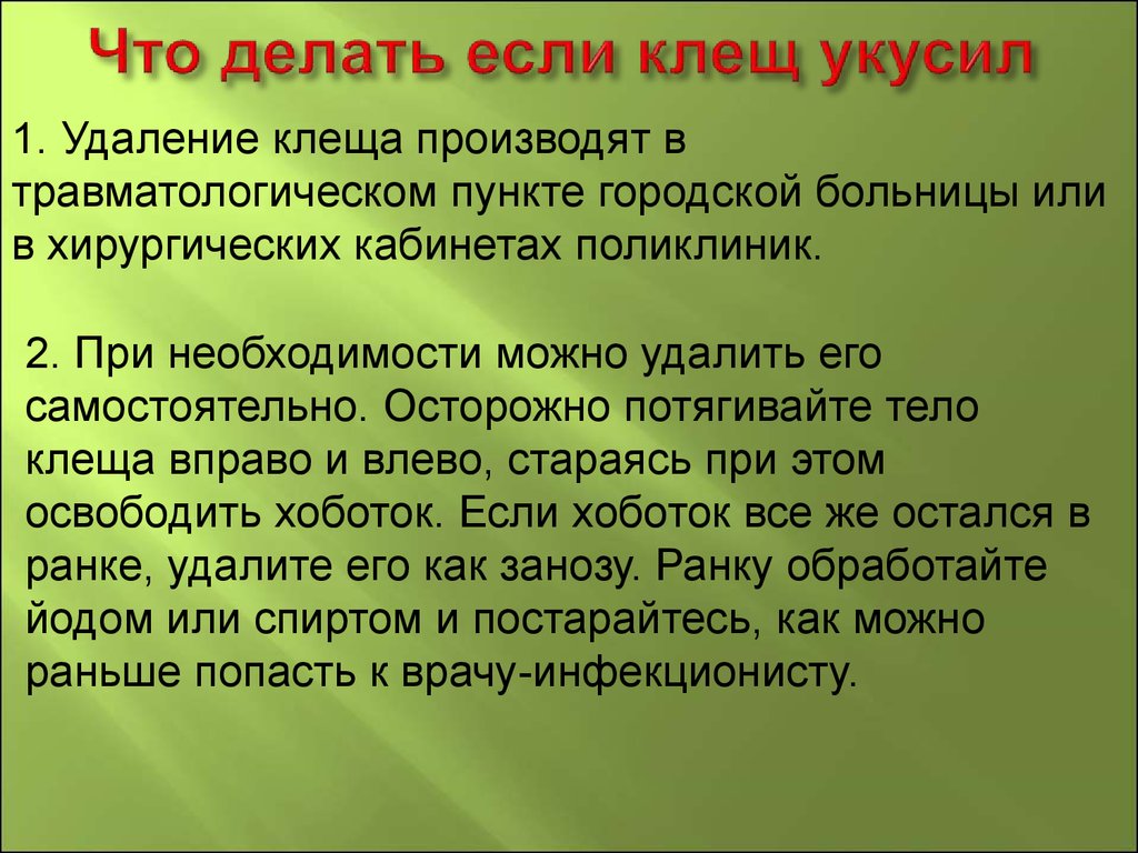 Лесные опасности 2 класс окружающий мир проект клещи