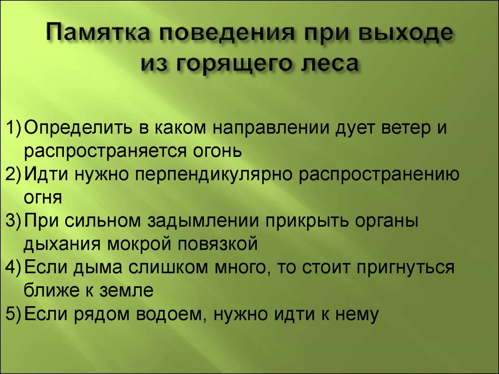 Памятка поведения. Памятка о лесных опасностях. При выходе из горящего леса нельзя. Памятка Лесные опасности 2.