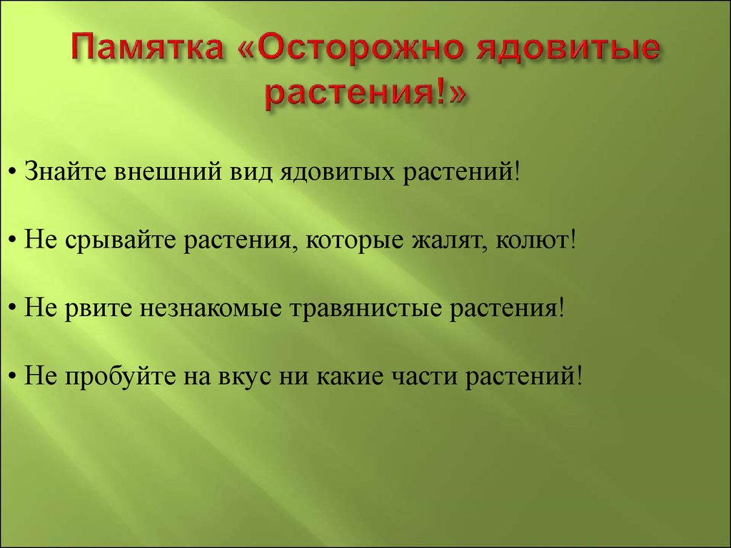 4 признака растения. Памятка ядовитые растения. Памятка о ядовитых hfcntybz. Признаки ядовитых растений. Признаки ядовитии растений.