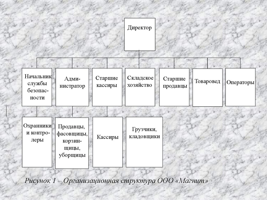 Схема организационной структуры магнит