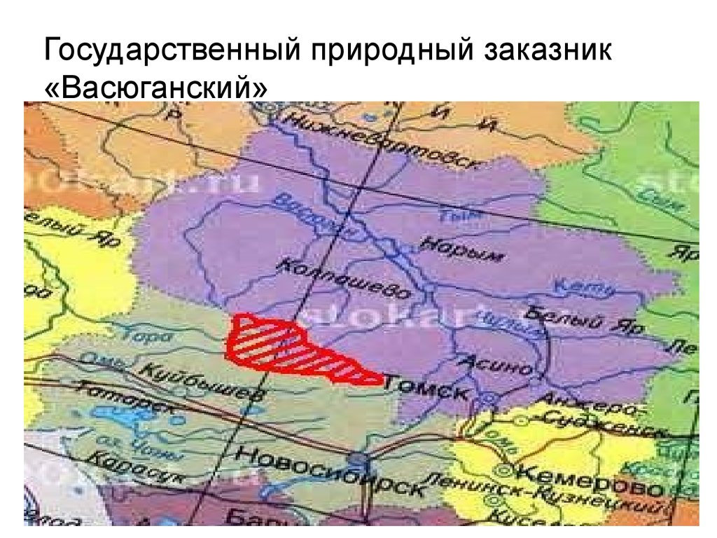 Болота западной сибири карта