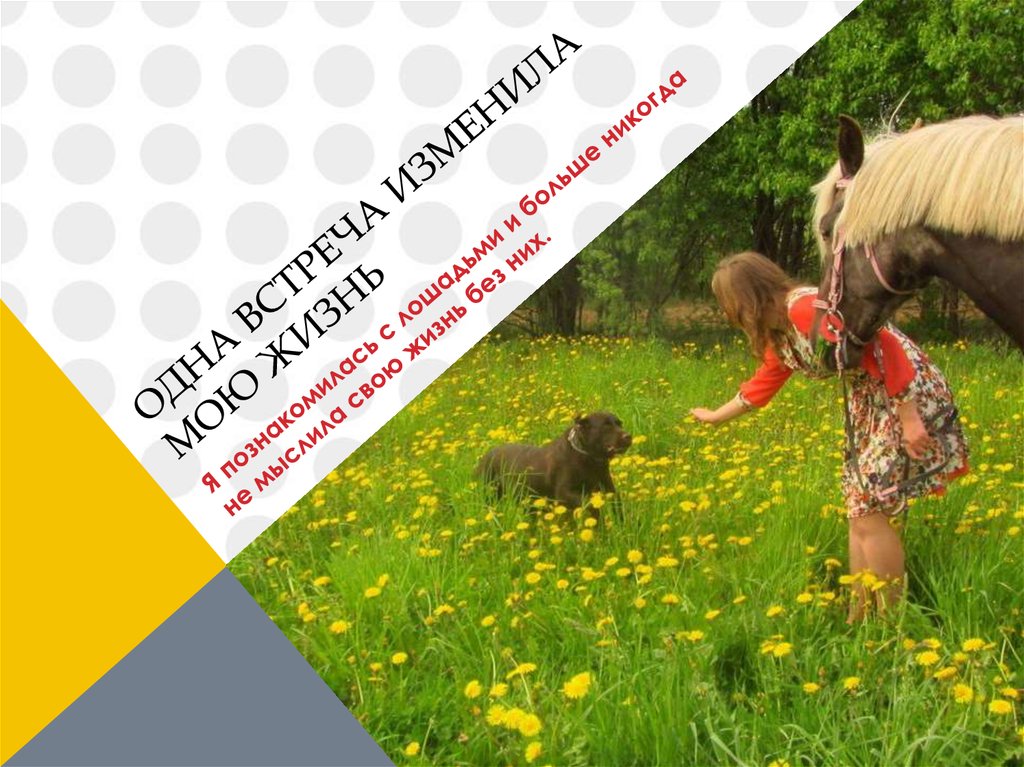 Одна встреча изменила мою жизнь