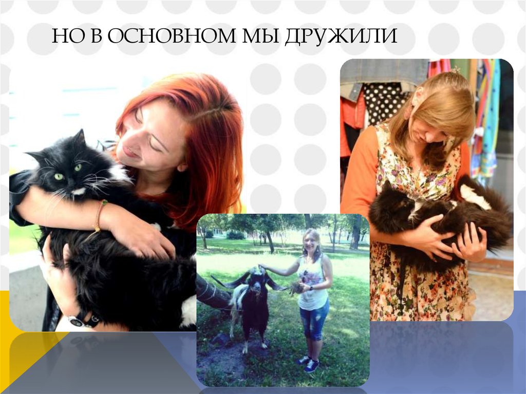 Но в основном мы дружили