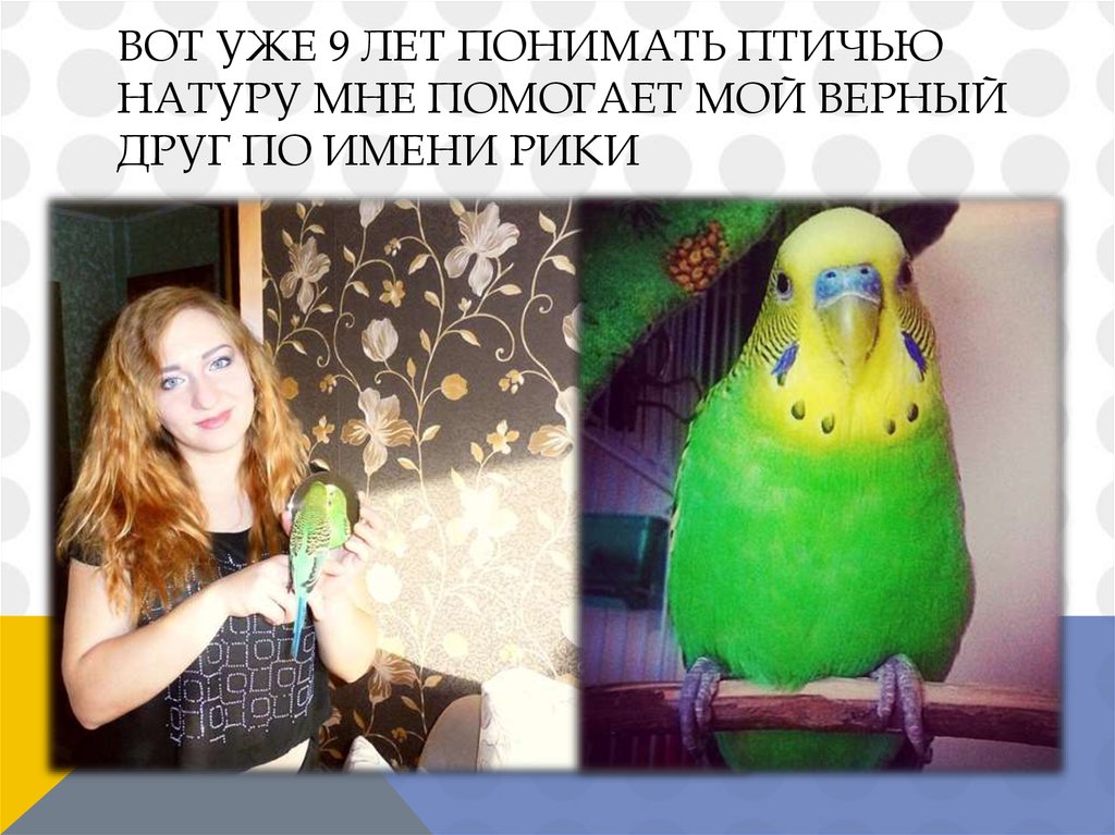 вот уже 9 лет Понимать птичью натуру мне помогает мой верный друг по имени Рики