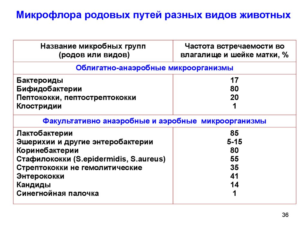 Нормальная микрофлора. Микрофлора респираторного тракта животных. Микрофлора животных кратко. Микрофлора тела сельскохозяйственных животных. Микрофлора тела животного.