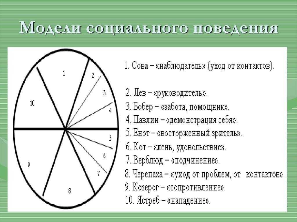 Модель социального поведения. Модели социального поведения. Соц модель поведения. Модель социального поведения нападение.