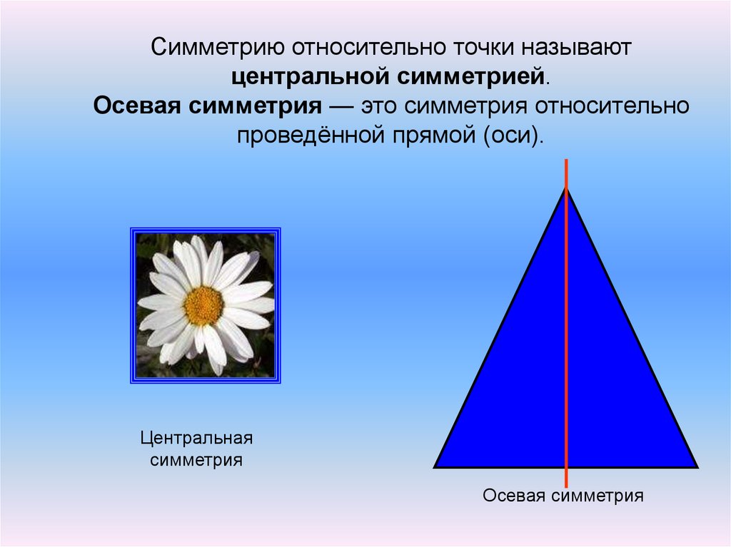 Можно симметрия. Осевая симметрия. Относительная симметрия. Симметрия относительно точки в природе. Симметрия в физике.