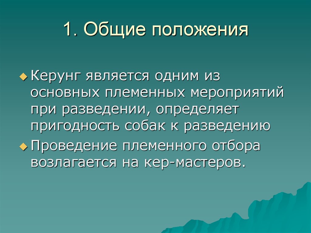 1. Общие положения