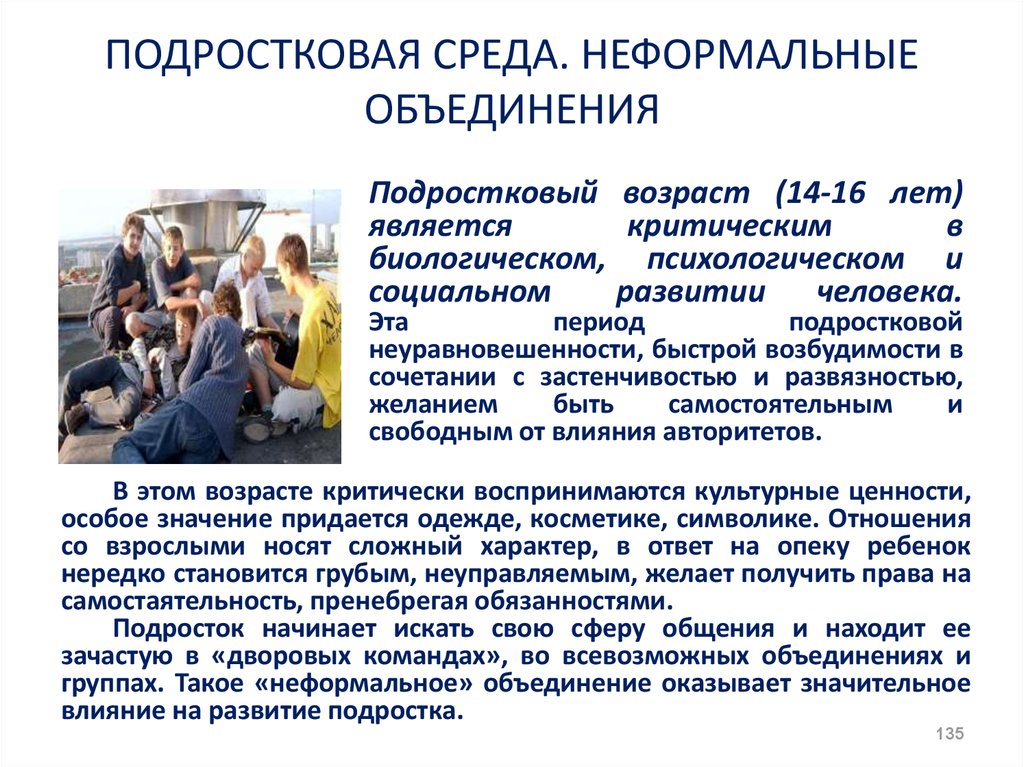 Подросток и среда. Подростковые объединения. Неформальные объединения. Социальная среда подростка. Современные подростковые неформальные объединения.