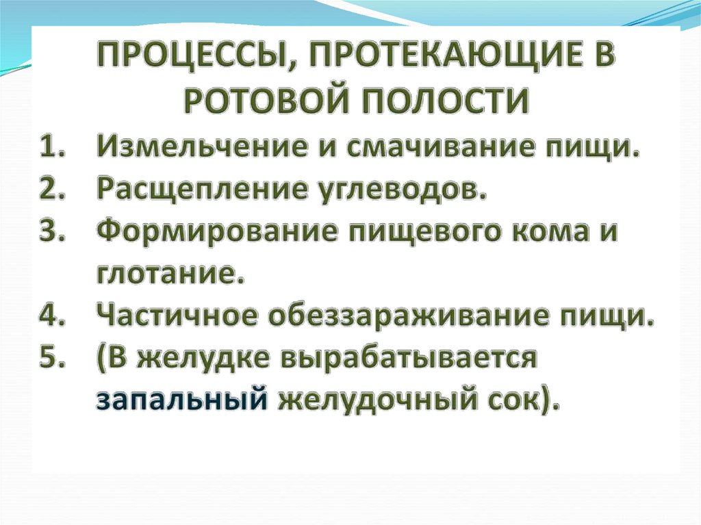 Перечислите процессы. Процессы протекающие в ротовой полости. Охарактеризуйте процессы происходящие в полости рта. Перечислите процессы происходящие в ротовой полости. Процесс пищеварения в ротовой полости.