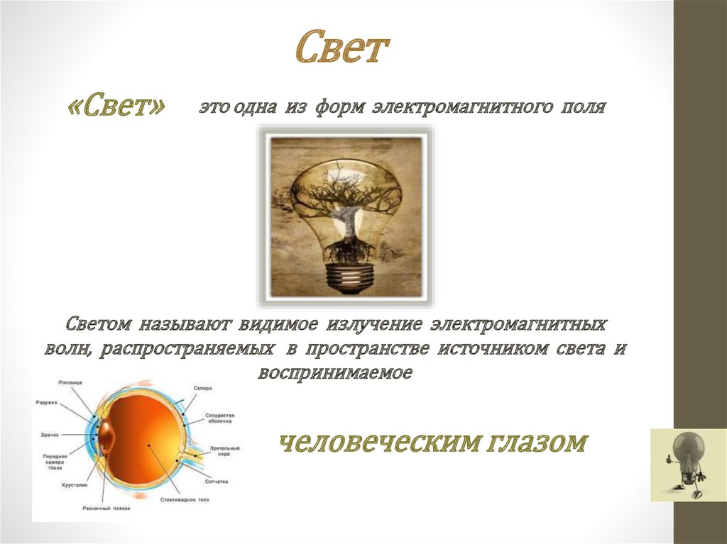 Свет