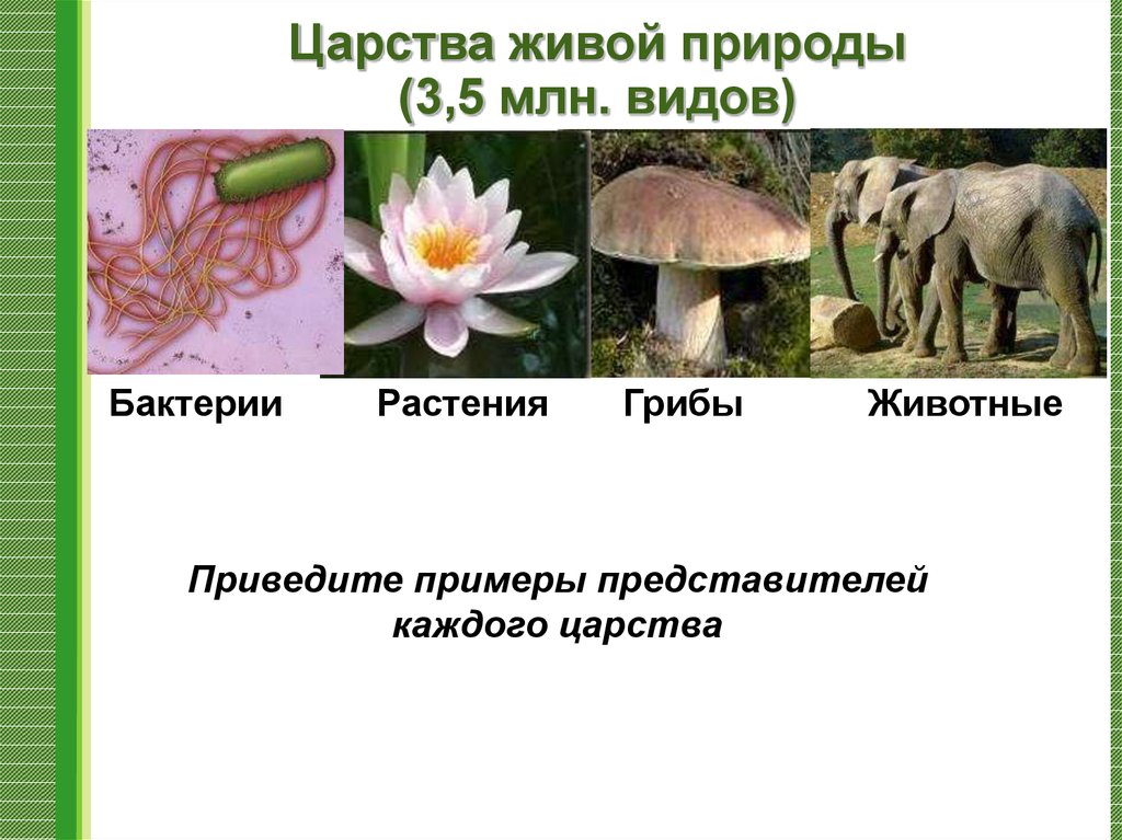 Количество и разнообразие живых организмов