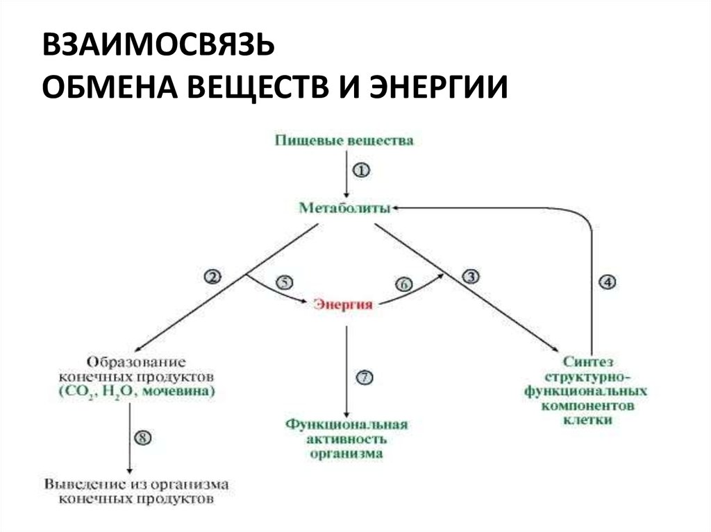 Обмен энергии схема