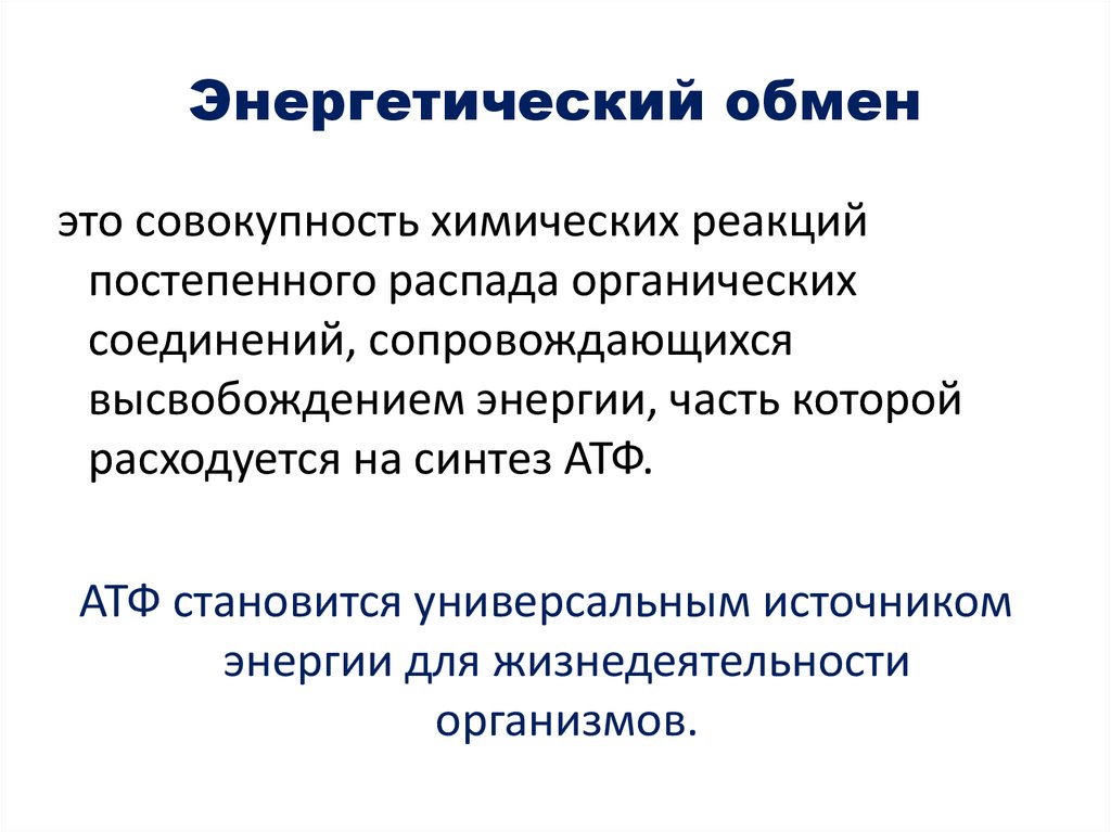 Энергетический обмен презентация 10 класс биология