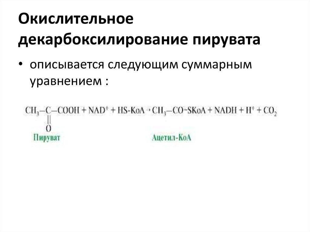 Окислительное декарбоксилирование пирувата