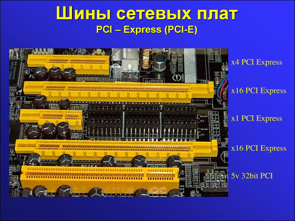 Слот pci e x1. Слот PCI-E x16 на материнской плате. Слотов PCI-E 3.0 x16. Разъём PCI-E x16 пины. Шина PCI Express x16.