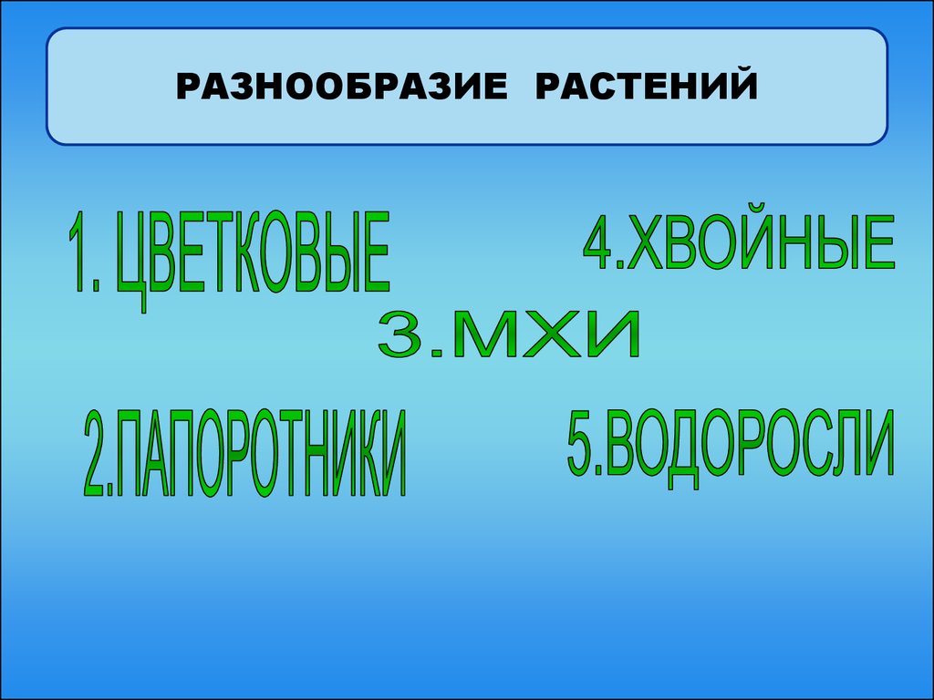 Разнообразие растений. Мир растений 3 класс. Разнообразие растений Плешаков 3 класс. Презентация разнообразный мир овощей. Разнообразие растений презентация 3 класс окружающий мир Плешаков.