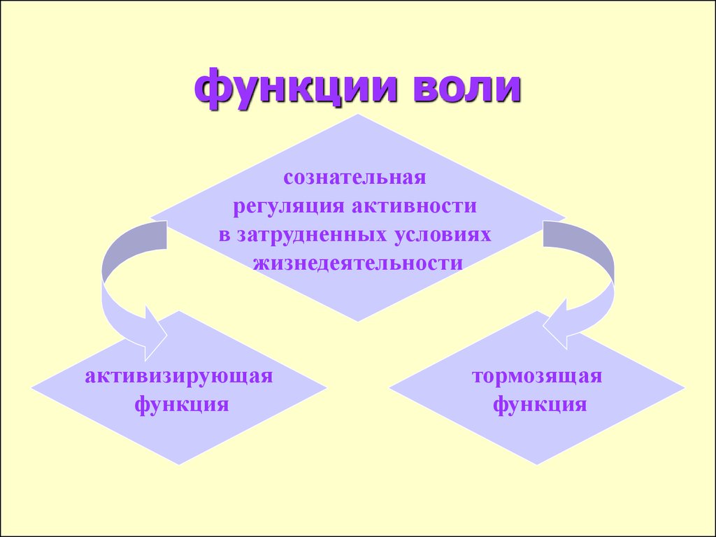 Функции волевых действий схема