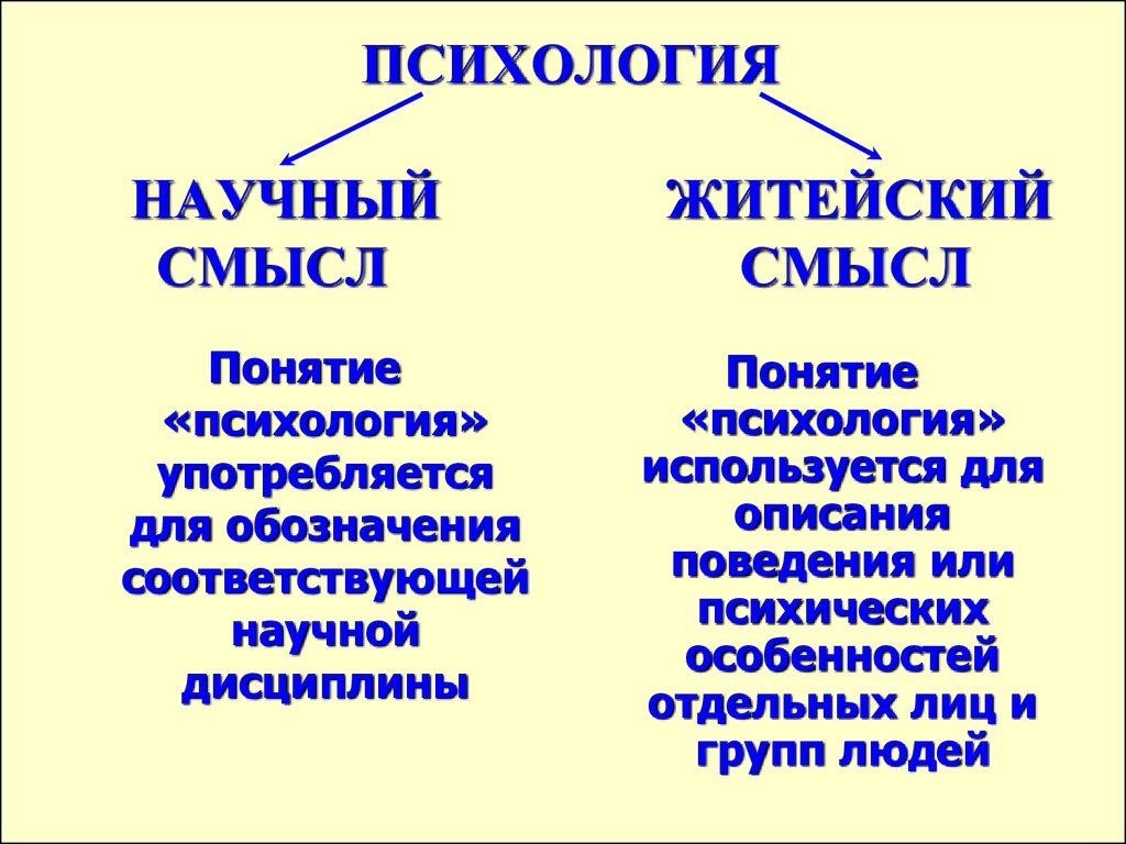 Психика презентация по психологии