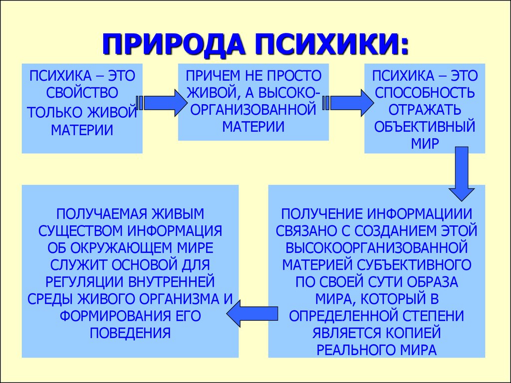 Теория природы. Психика и ее природа. Биологическая природа психики. Психика понятие и функции. Природа психики определяется.