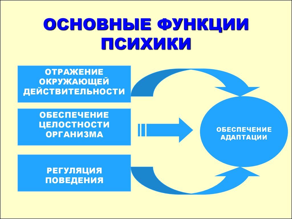 Основные функции презентации