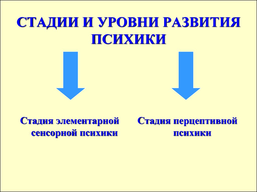 Стадии психики