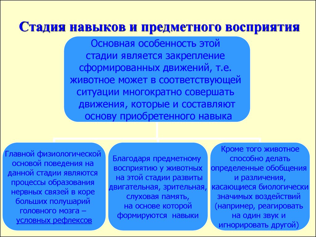 Перцептивный этап. Стадия навыков и предметного восприятия,. Стадии восприятия. Этапы восприятия перцепция. Способности восприятия.