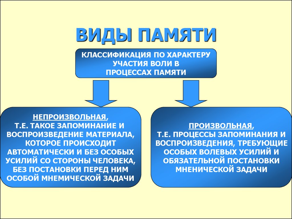 Память виды презентация