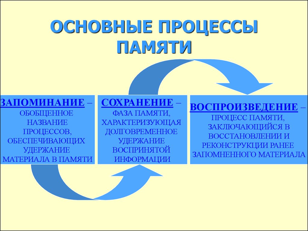 Запоминания сохранения и воспроизведения информации. Основные процессы памяти. Основные процессы памяти в психологии. Основные процессы памяти запоминание сохранение воспроизведение. Основные процессы памяти схема.