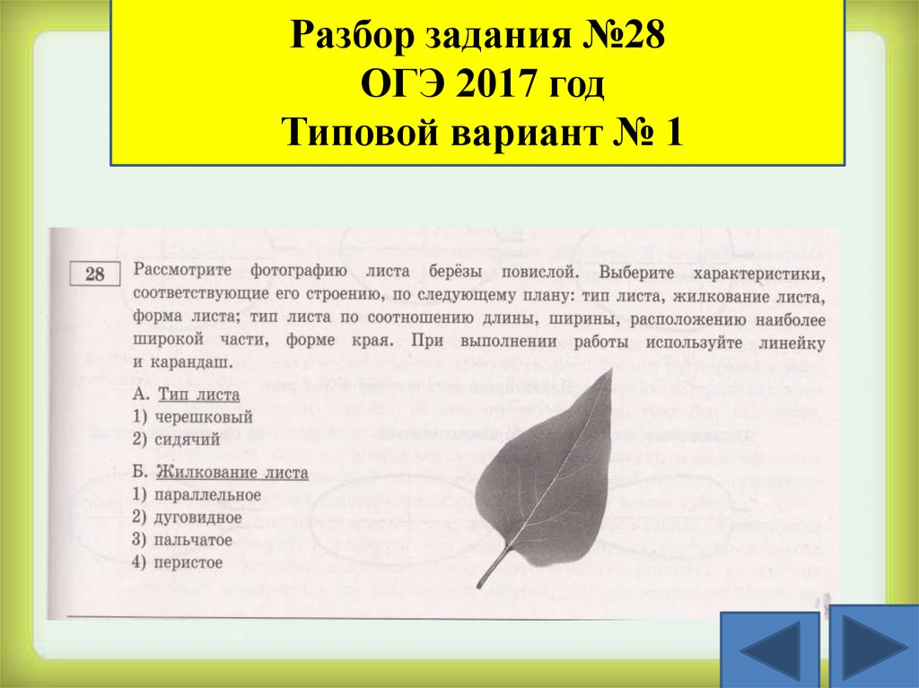 Огэ по биологии задания с картинками