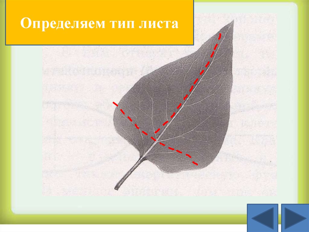 Презентация листы огэ