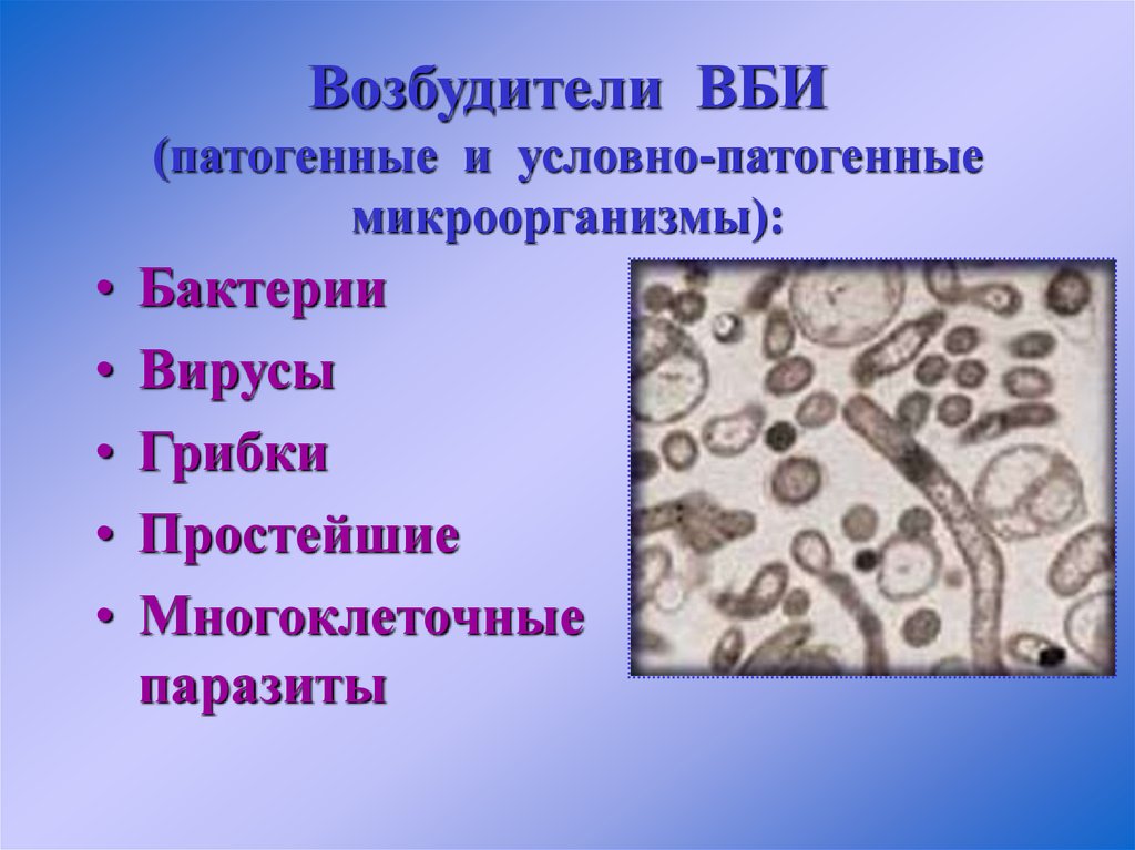 Условно патогенные возбудители. Возбудители ВБИ патогенные микроорганизмы. Патогенные и условно патогенные возбудители ВБИ. Условно патогенные микробы возбудители. Инфекции патогенных микроорганизмов.