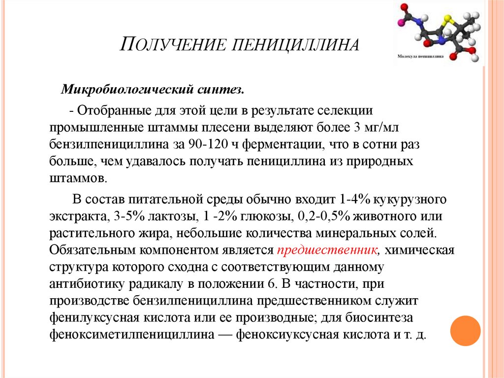 Пенициллины фармакология презентация