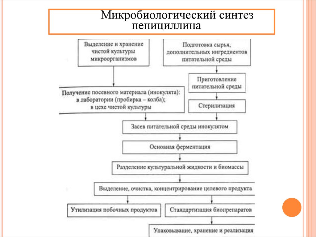 Схема микробиологического синтеза аминокислот