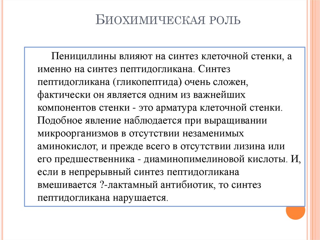 Биохимическая роль. Синтез пептидогликана. Б9 биохимическая роль. Какова роль биохимии в развитии медицины.