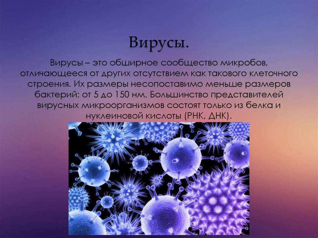 Информация про биологию. Вирус. Вирусы биология. Проект на тему вирусы по биологии. Вирусы доклад.