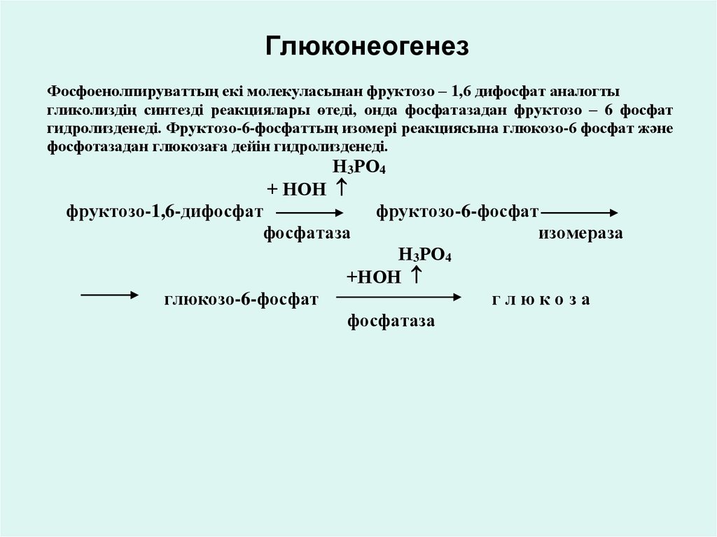 Ферменты глюконеогенеза. Реакции глюконеогенеза биохимия. Глюконеогенез реакции биохимия. Механизм глюконеогенеза. Активация глюконеогенеза.