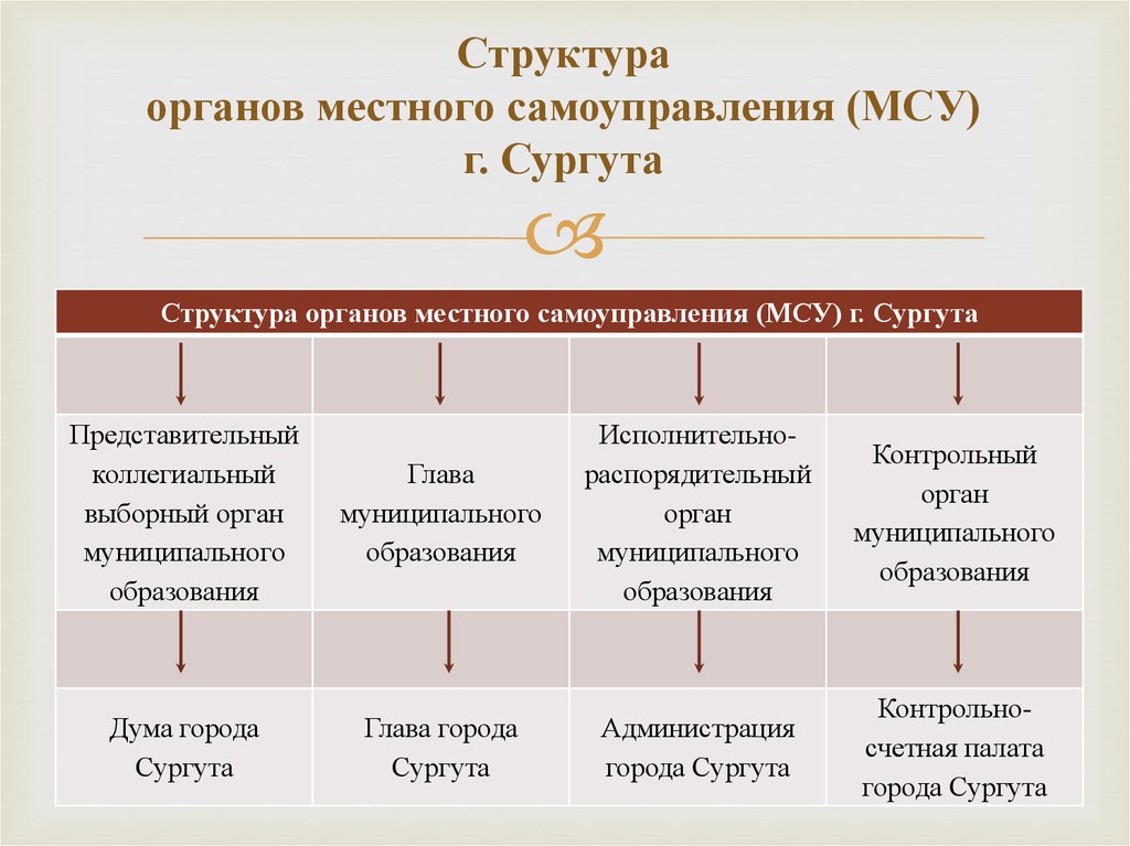 Выборные органы самоуправления