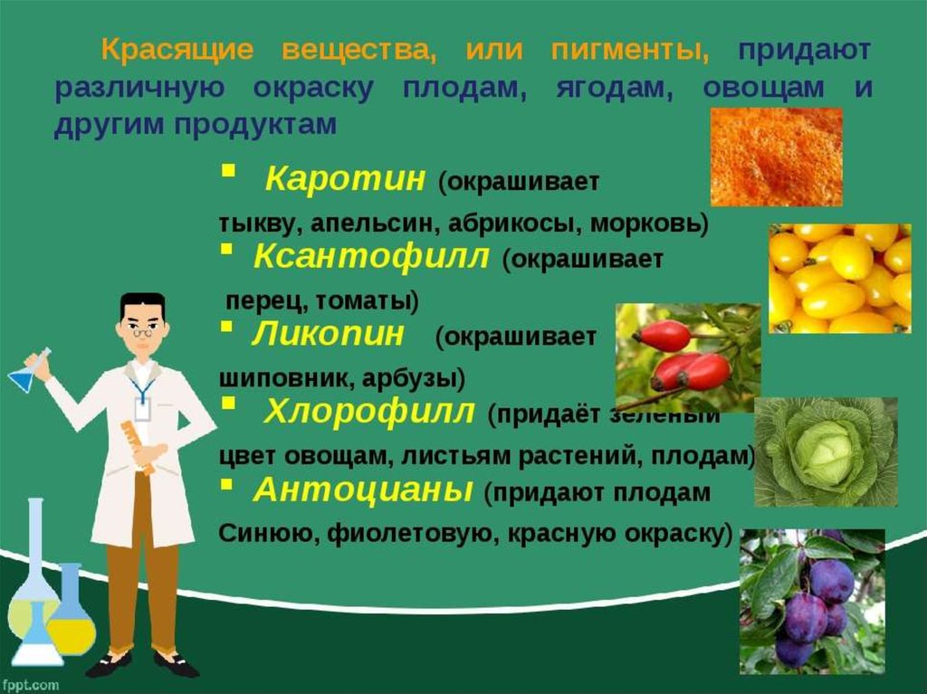 Вещества содержащиеся в овощах. Красящие вещества в овощах. Химический состав плодов. Химический состав плодов и овощей. Фрукты и овощи Товароведение.