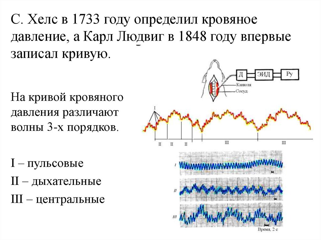 Давление волны. Кривая артериального давления в остром опыте. Кривую артериального давления, зарегистрированного в остром опыте. Волны артериального давления 1-го, 2-го, 3-го порядка. Анализ Кривой кровяного давления в остром опыте.