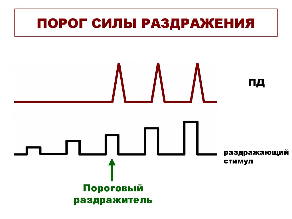 Максимальная величина раздражителя. Порог силы раздражения. Порог раздражения физиология. Пороговый раздражитель это в физиологии. Порог раздражителя физиология.