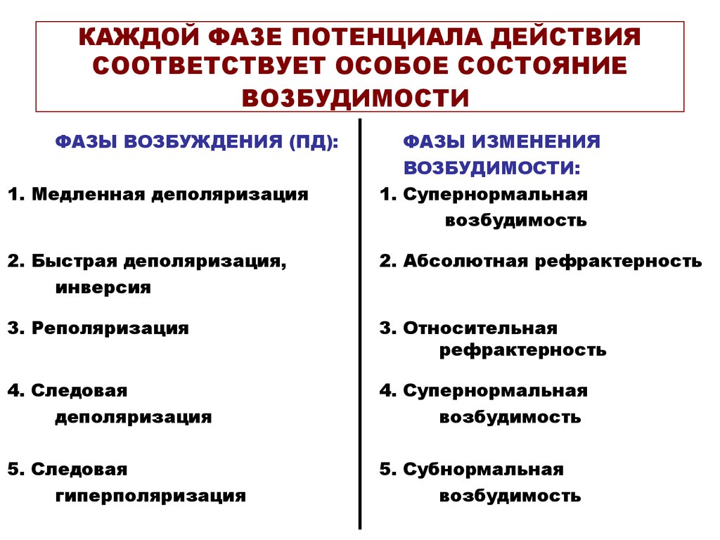 Соответствующее действие. Фазы потенциала действия таблица. Ионные механизмы и возбудимость в разные фазы потенциала действия. Фазы потенциального действия. Соотношение фаз возбудимости с фазами потенциала действия.