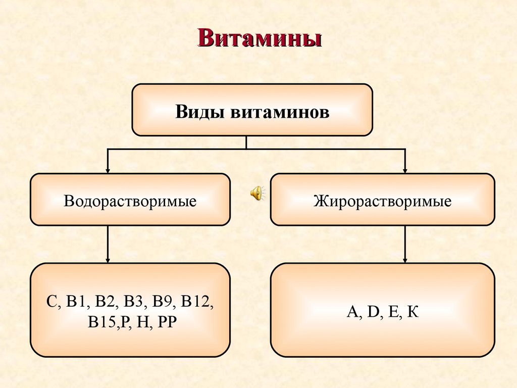 Виды витаминов. Основные виды витаминов. Витамины схема. Виды жирорастворимые витамины виды.