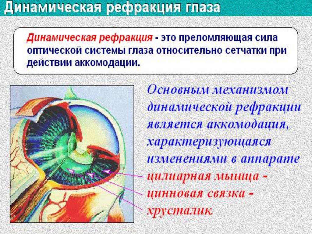 Клиническая рефракция аккомодация. Динамическая рефракция. Динамическая рефракция глаза это. Статическая и динамическая рефракция глаза. Изменение преломляющей способности глаза.