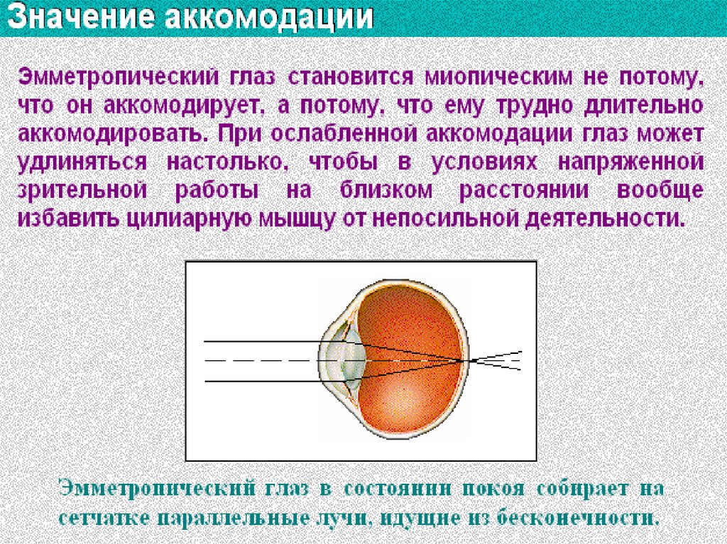 Рефракция тесты. Соразмерная аккомодация. Эмметропия и аккомодация. Рефракция и аккомодация глаза. Понятие рефракции, аккомодации и адаптации глаза.