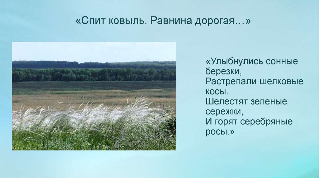 Стихи есенина ковыль равнина дорогая. Есенин ковыль равнина дорогая. Есенин ковыль равнина. Ковыль стихотворение Есенина. Стих ковыль Есенин.